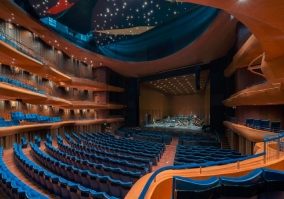 劇院、音樂廳及藝術中心項目